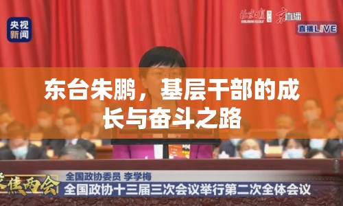 東臺朱鵬，基層干部的成長與奮斗之路