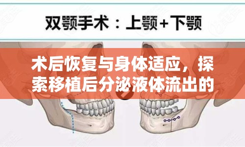 術后恢復與身體適應，探索移植后分泌液體流出的奧秘