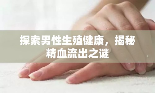 探索男性生殖健康，揭秘精血流出之謎