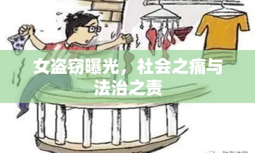 女盜竊曝光，社會(huì)之痛與法治之責(zé)