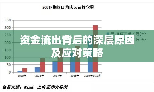 資金流出背后的深層原因及應(yīng)對策略