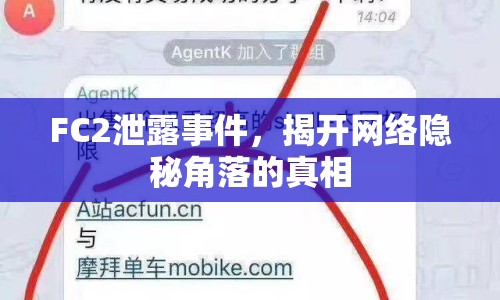 FC2泄露事件，揭開網(wǎng)絡(luò)隱秘角落的真相