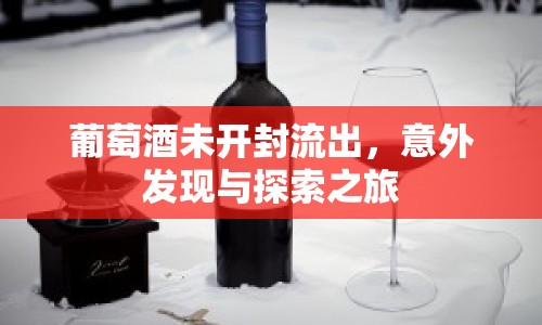 葡萄酒未開封流出，意外發(fā)現(xiàn)與探索之旅