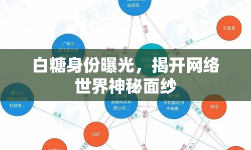 白糖身份曝光，揭開網(wǎng)絡世界神秘面紗