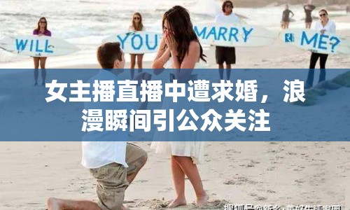 女主播直播中遭求婚，浪漫瞬間引公眾關(guān)注