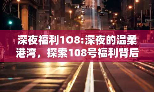 深夜福利1O8:深夜的溫柔港灣，探索108號(hào)福利背后的深意