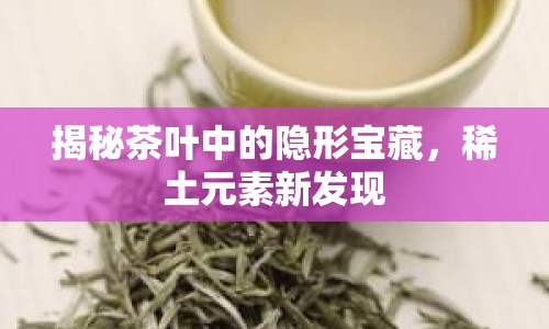 揭秘茶葉中的隱形寶藏，稀土元素新發(fā)現(xiàn)