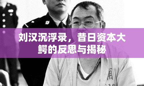 劉漢沉浮錄，昔日資本大鱷的反思與揭秘