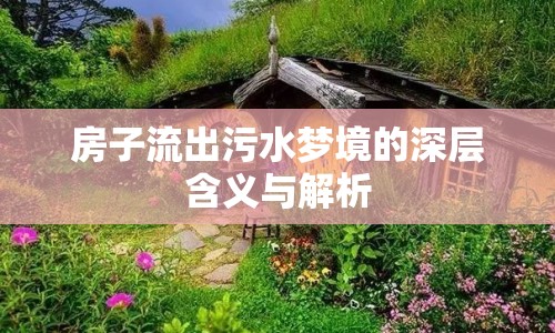 房子流出污水夢(mèng)境的深層含義與解析