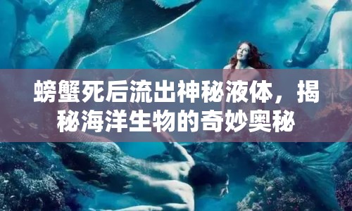 螃蟹死后流出神秘液體，揭秘海洋生物的奇妙奧秘