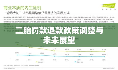 二胎罰款退款政策調(diào)整與未來展望