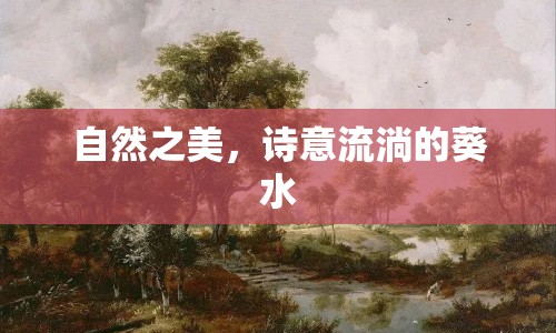 自然之美，詩(shī)意流淌的葵水