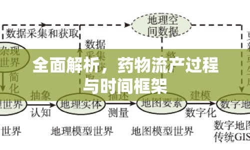 全面解析，藥物流產過程與時間框架