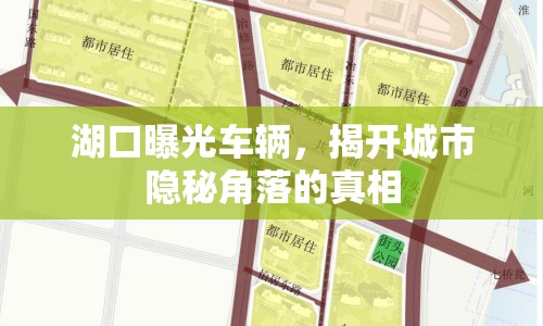 湖口曝光車輛，揭開城市隱秘角落的真相