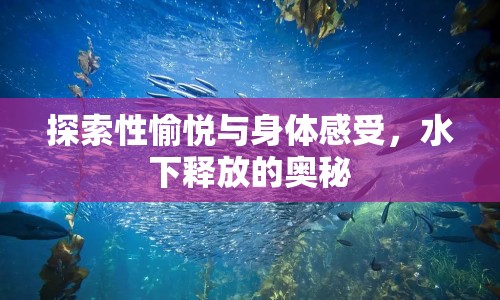 探索性愉悅與身體感受，水下釋放的奧秘