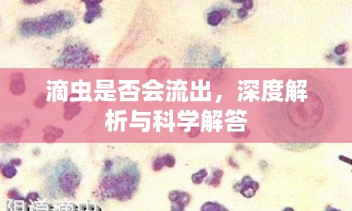 滴蟲是否會流出，深度解析與科學解答