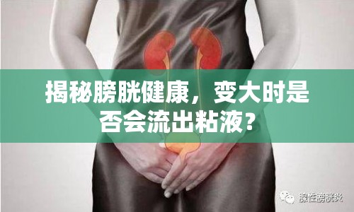 揭秘膀胱健康，變大時(shí)是否會(huì)流出粘液？