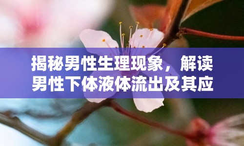 揭秘男性生理現(xiàn)象，解讀男性下體液體流出及其應(yīng)對方法