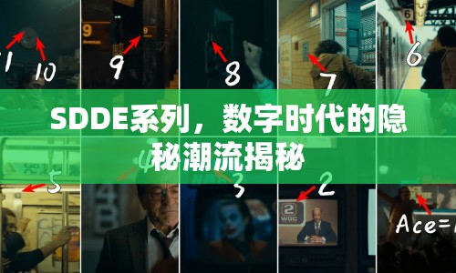 SDDE系列，數(shù)字時代的隱秘潮流揭秘