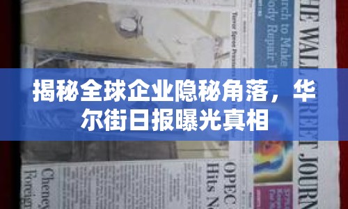 揭秘全球企業(yè)隱秘角落，華爾街日?qǐng)?bào)曝光真相