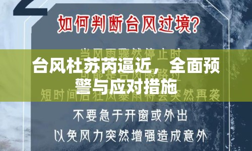 臺風杜蘇芮逼近，全面預警與應對措施