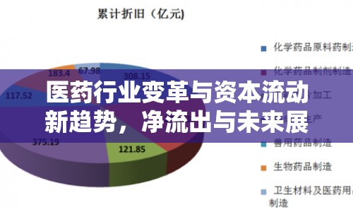 醫(yī)藥行業(yè)變革與資本流動新趨勢，凈流出與未來展望