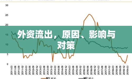 外資流出，原因、影響與對(duì)策