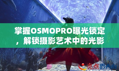 掌握OSMOPRO曝光鎖定，解鎖攝影藝術(shù)中的光影魔法