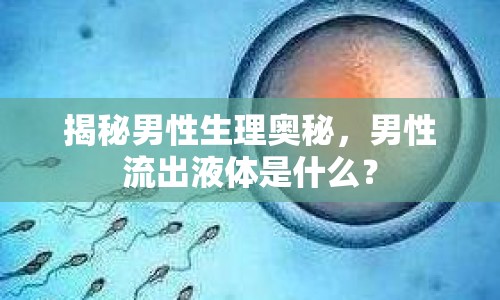 揭秘男性生理奧秘，男性流出液體是什么？