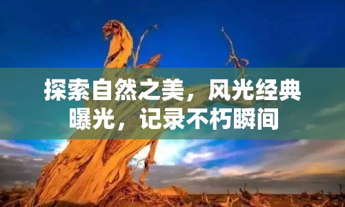 探索自然之美，風(fēng)光經(jīng)典曝光，記錄不朽瞬間