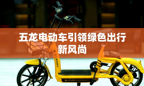 五龍電動車引領綠色出行新風尚