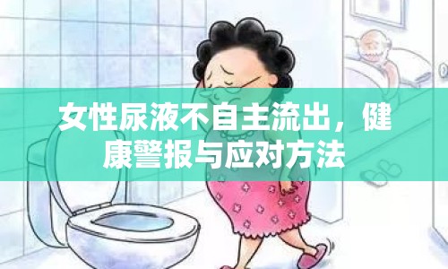 女性尿液不自主流出，健康警報與應對方法