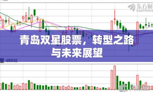 青島雙星股票，轉(zhuǎn)型之路與未來展望