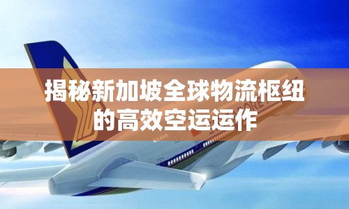 揭秘新加坡全球物流樞紐的高效空運運作