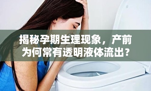 揭秘孕期生理現(xiàn)象，產(chǎn)前為何常有透明液體流出？