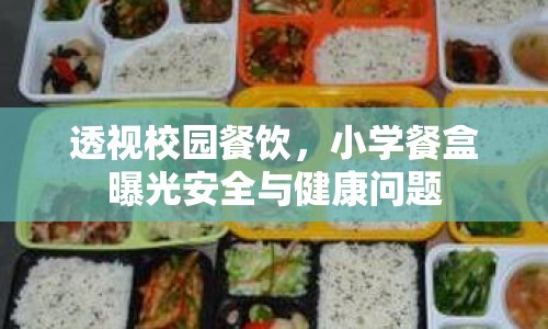 透視校園餐飲，小學(xué)餐盒曝光安全與健康問(wèn)題