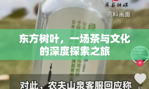 東方樹葉，一場茶與文化的深度探索之旅