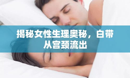 揭秘女性生理奧秘，白帶從宮頸流出