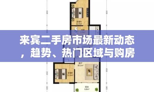 來賓二手房市場最新動態(tài)，趨勢、熱門區(qū)域與購房指南