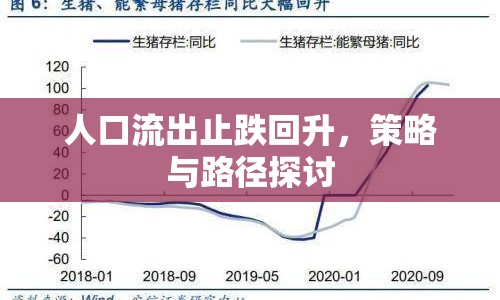 人口流出止跌回升，策略與路徑探討