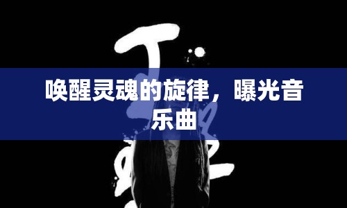 喚醒靈魂的旋律，曝光音樂曲