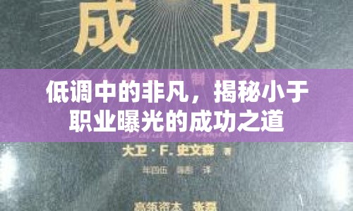 低調(diào)中的非凡，揭秘小于職業(yè)曝光的成功之道