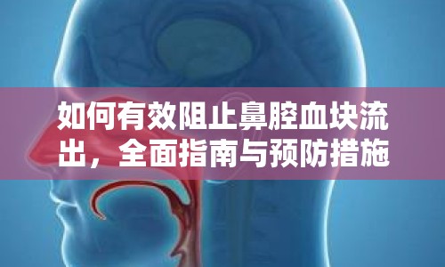 如何有效阻止鼻腔血塊流出，全面指南與預(yù)防措施