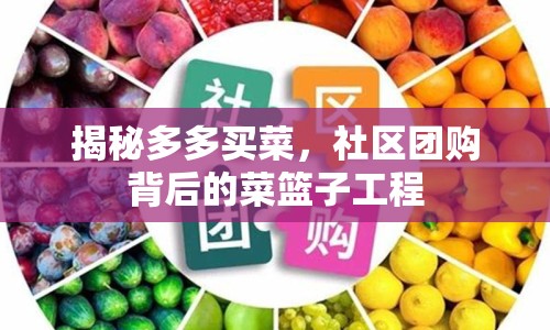 揭秘多多買(mǎi)菜，社區(qū)團(tuán)購(gòu)背后的菜籃子工程