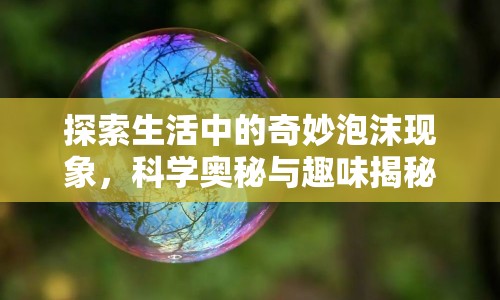 探索生活中的奇妙泡沫現(xiàn)象，科學(xué)奧秘與趣味揭秘