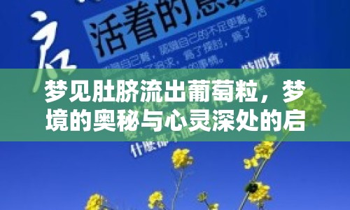 夢見肚臍流出葡萄粒，夢境的奧秘與心靈深處的啟示