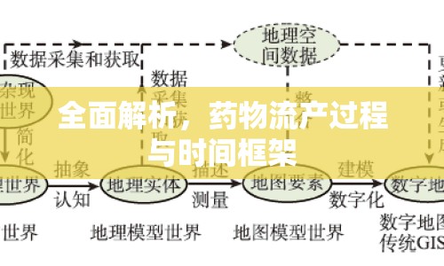 全面解析，藥物流產過程與時間框架