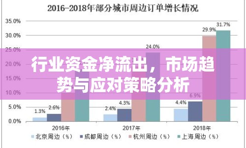 行業(yè)資金凈流出，市場趨勢與應(yīng)對(duì)策略分析