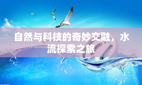 自然與科技的奇妙交融，水流探索之旅