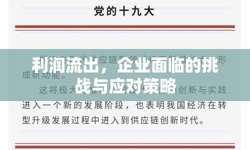 利潤流出，企業(yè)面臨的挑戰(zhàn)與應(yīng)對策略